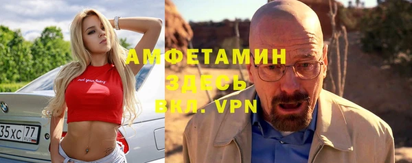 шишки Горнозаводск