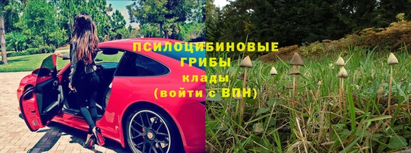 мдма Гусиноозёрск