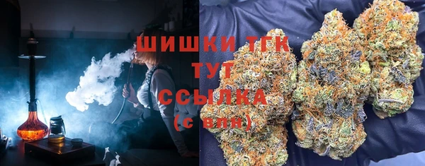 шишки Горнозаводск