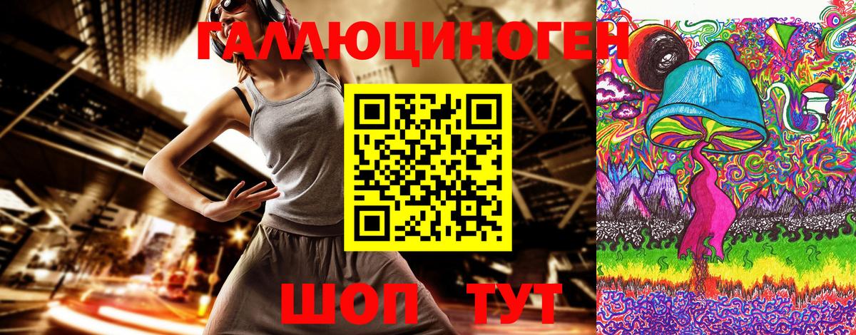 Псилоцибиновые грибы Psilocybe  Березники 