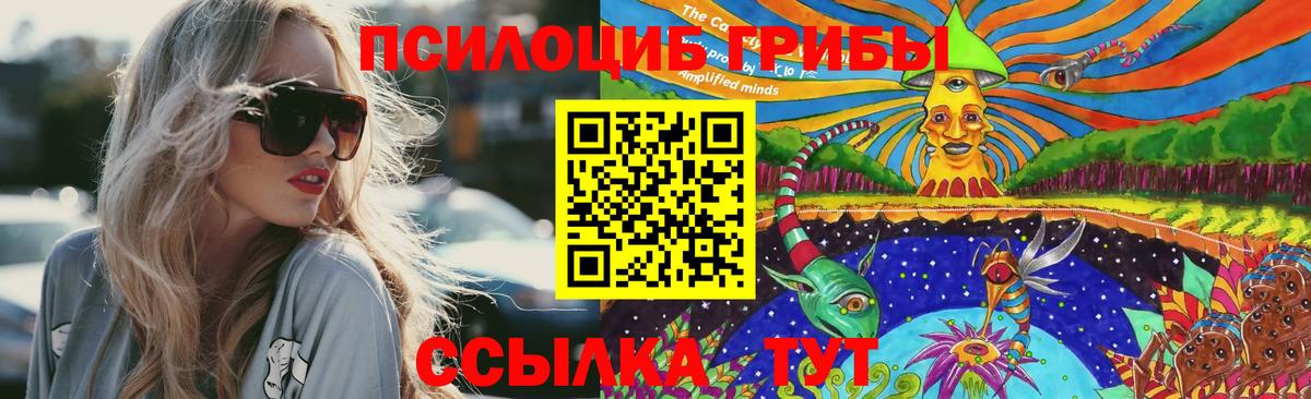 Галлюциногенные грибы Psilocybe  Вход с VPN  где купить наркоту  Березники  Псилоцибиновые грибы ЛСД 