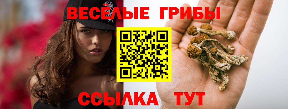 Галлюциногенные грибы Cubensis Березники